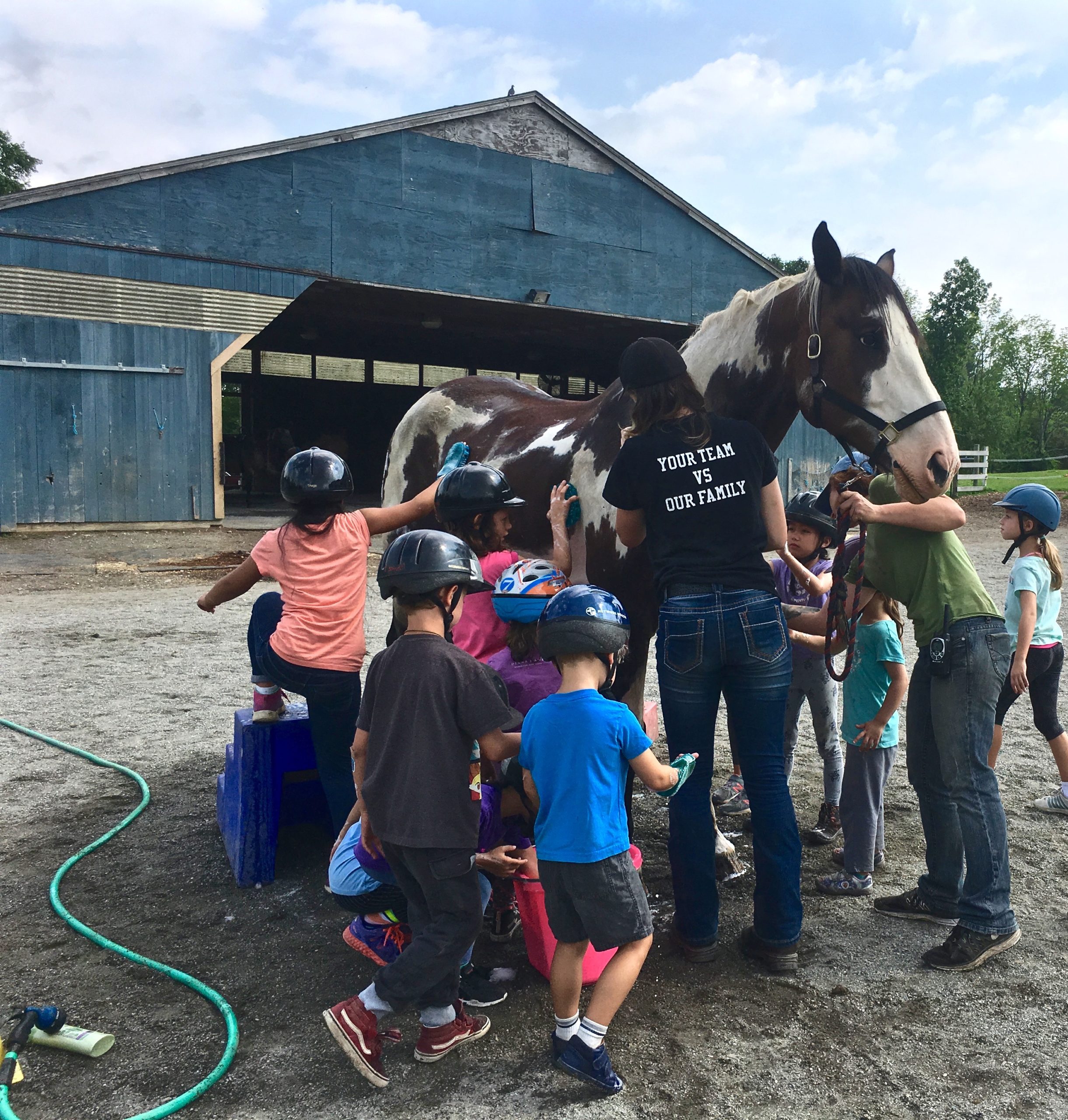Summer Horsemanship Program