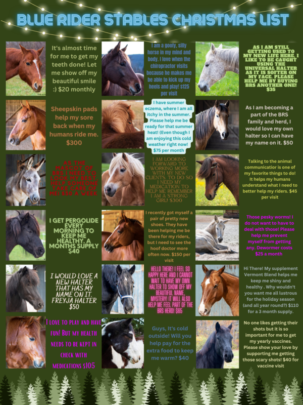 Horse Holiday Wish List