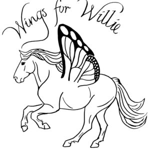 Donate for Wings for Willie Move-a-thon