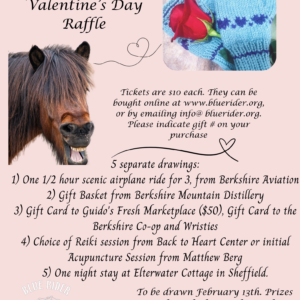 Valentine's Day Raffle